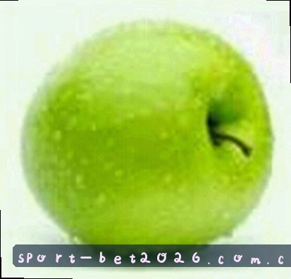 孙磊